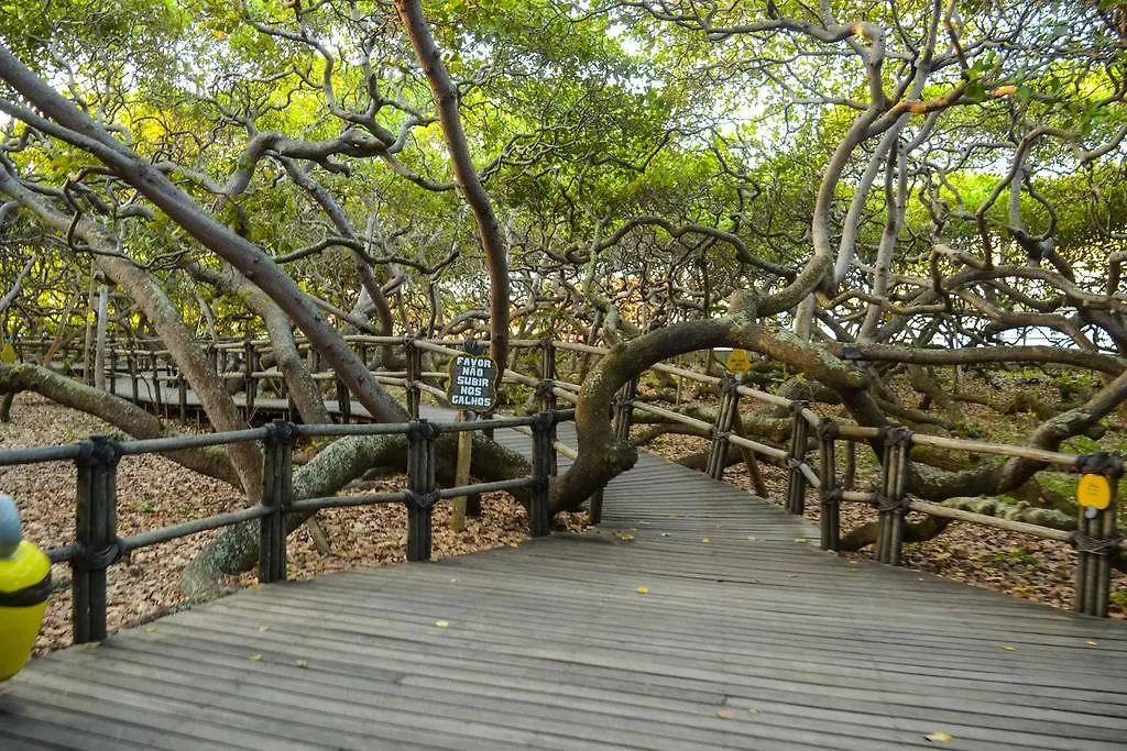 Respire Suites Natal
