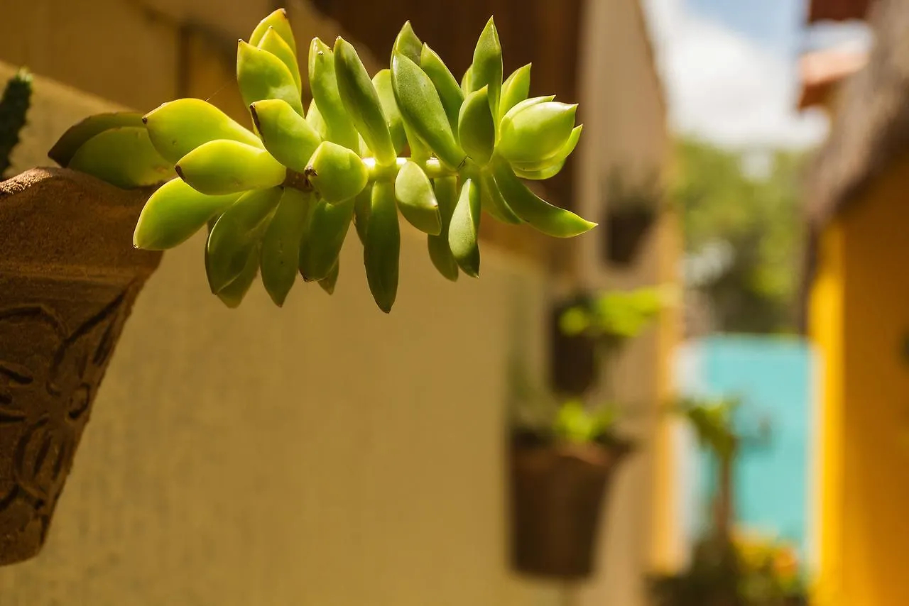 *** Affittacamere Respire Suites Natal Brasile